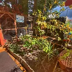 Kordelliya Garden Chayofa
