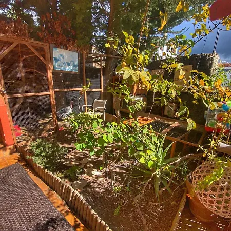 Kordelliya Garden Чайофа