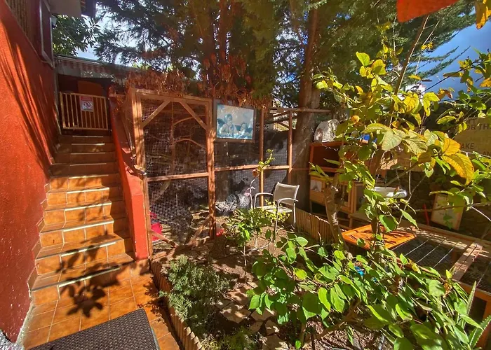 Kordelliya Garden Lägenhet Chayofa