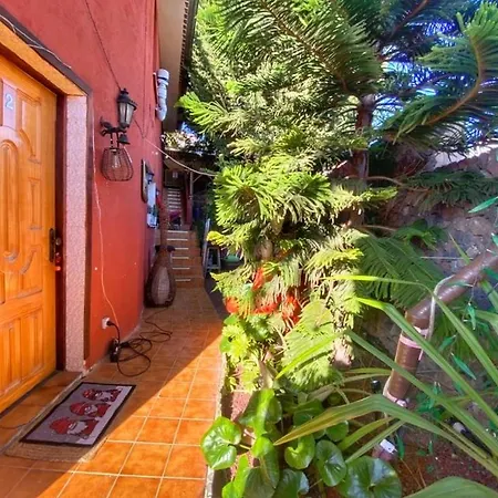 Kordelliya Garden * Чайофа