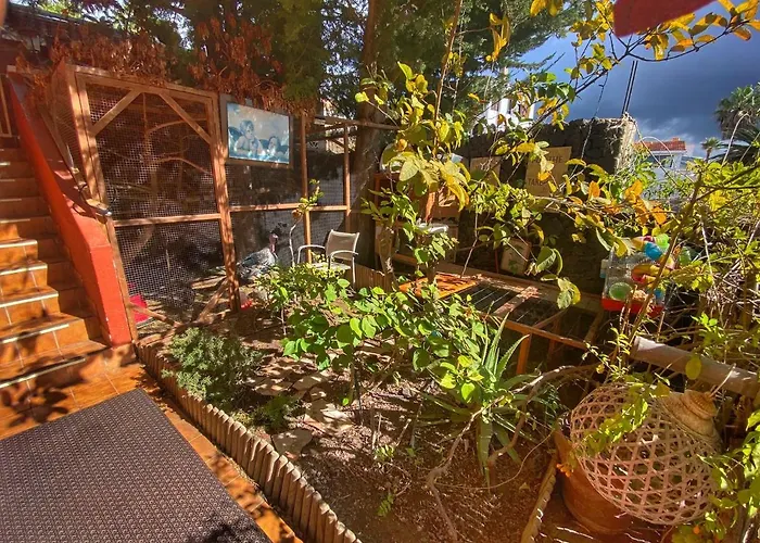 Kordelliya Garden Chayofa