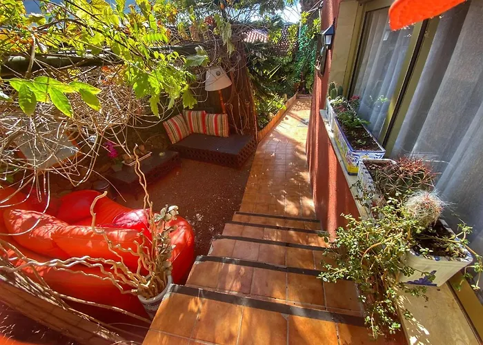 Kordelliya Garden Чайофа